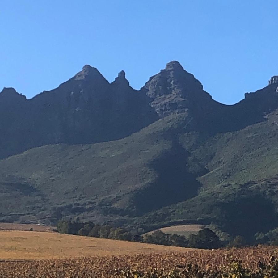 Longfield House Villa Stellenbosch Exteriör bild