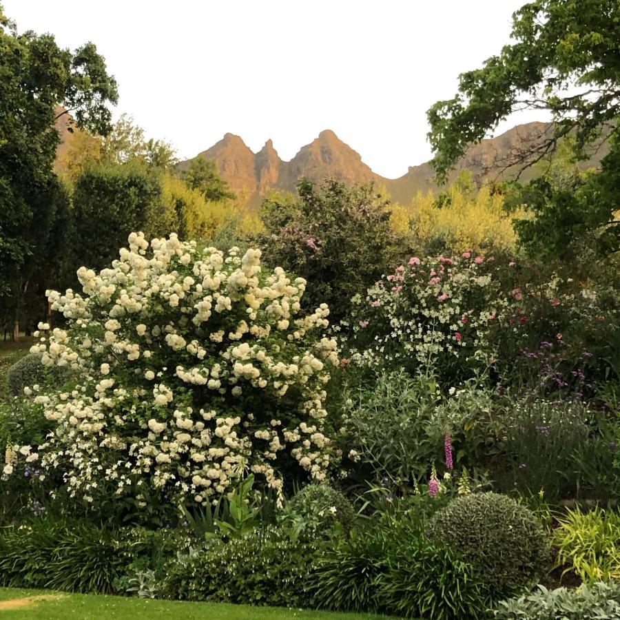 Longfield House Villa Stellenbosch Exteriör bild